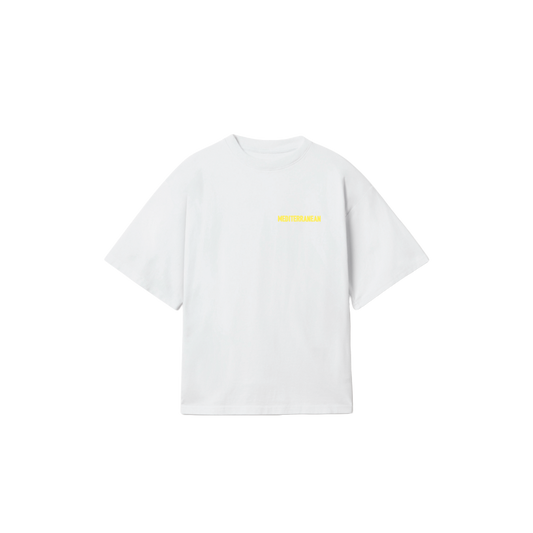 TS-03