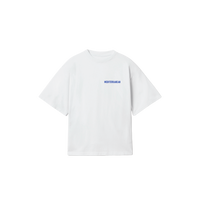 TS-01